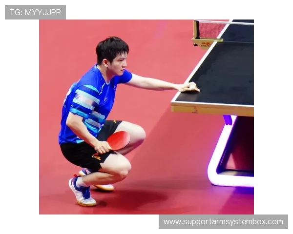 武汉乒乓球队实力强劲最新乒乓球速度排行榜前十名揭晓